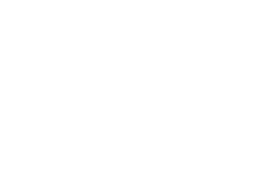 What Is Zellyo?